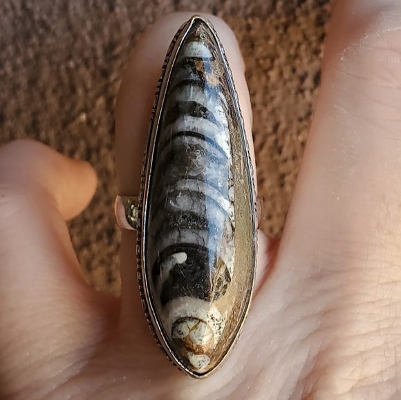 New Unique Orthoceras Fossil 925 Silver Statement Ring. - Picture 8 of 10